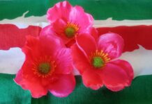 Coldirodi, studenti protagonisti per il 25 aprile