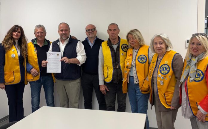 lions - amaie energia