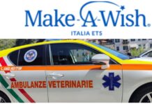 Dagli animali ai sogni dei bambini: Ambulanze Veterinarie dona a Make-A-Wish e realizza il desiderio di Anes Make-A-Wish Italia