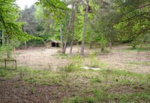 Da “terra di nessuno” a “Terra di Confine”, l’ex parco didattico di San Romolo pronto a riprendere vita