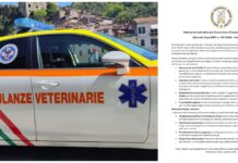 Decreto Protezione Civile, nuove regole per il soccorso animali. Ambulanze Veterinarie: “I Comuni del Ponente Ligure si devono attrezzare per le calamitĂ ” decreto animali ambulanze veterinarie