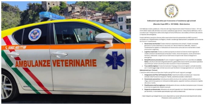 decreto animali ambulanze veterinarie