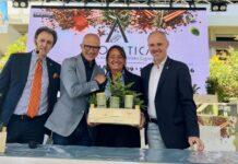 Diano Marina, torna Aromaticocktail: Donatella Uslenghi vince il concorso AIBES