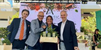 Diano Marina, torna Aromaticocktail: Donatella Uslenghi vince il concorso AIBES