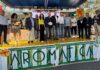 Aromatica 2026, Confcommercio premia le vetrine più belle e i migliori cocktail del Golfo Dianese