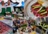 Ad Aromatica 2026 il cooking show a quattro mani di Delprato e Scola: il filetto di vitello agli aromi conquista il pubblico coocking show aromatica