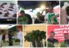 Diano Marina, Aromatica 2026 a tutto pesto con Mattia Bassi: show, sorpresa vegana per Irene Volpe e dolce ‘Tartufino’ di Mainero Mattia Bassi Pesto al Mortaio