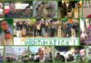 Diano Marina, Aromatica fa 13: “Oltre 30.000 visitatori, maratona di eventi e promozione del nostro fantastico territorio” Aromatica 2026
