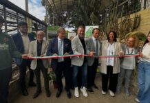 Floricoltura ligure, a Sanremo il progetto “Ricoltiviamo” per il ricambio generazionale e la valorizzazione del comparto