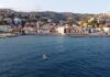 Santo Stefano al Mare, al via il calendario estivo della raccolta differenziata porta a porta santo stefano al mare