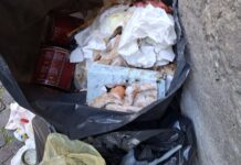 Ventimiglia, controlli in borghese della Polizia locale contro l’abbandono dei rifiuti: raffica di sanzioni Rifiuti Ventimiglia