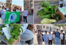 Educazione ambientale e sostenibilitĂ : gli alunni dell’Istituto Littardi di Imperia conquistano la Bandiera Verde bandiera verde imperia 2026