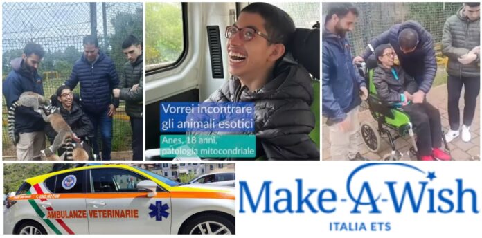 Ambulanze Veterinarie con ‘Make-A-Wish Italia’ realizzano il sogno del piccolo Anes Ambulanze Veterinarie con ‘Make-A-Wish Italia’ realizzano il sogno del piccolo Anes