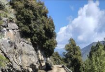 Pigna-Camporosso, riapre la strada ex militare tra Gouta e La Colla