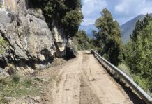 Pigna-Camporosso, riapre la strada ex militare tra Gouta e La Colla strada ex militare tra Gouta e La Colla