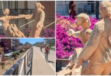 Andora, completata la trilogia dei ‘pini danzanti’ sulla ciclabile: così tre alberi salvati dall’abbattimento diventano arte pini danzanti