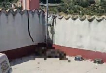 Cane morto di stenti a Ventimiglia: indagati proprietario e parente per maltrattamenti aggravati