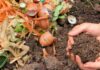 Sanremo, al via la distribuzione gratuita delle compostiere domestiche per gli iscritti all’albo comunale compostaggio