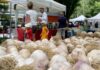 A Vessalico la Fiera dell’Aglio celebra 266 anni