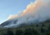 Imperia, incendio al Passo della Mezzaluna. In azione Vigili del fuoco, Protezione civile ed elicottero incincendio passo mezzalunaendio mezzaluna