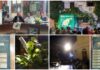 A San Bartolomeo al Mare torna il Premio Rovere d’Oro 2026: “Concorso che vuole realizzare i sogni di giovani talenti” Concorso Rovere d'Oro 2026