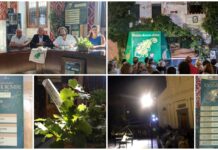 A San Bartolomeo al Mare torna il Premio Rovere d’Oro 2026: “Concorso che vuole realizzare i sogni di giovani talenti” Concorso Rovere d'Oro 2026