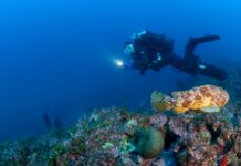 Santo Stefano al Mare, recuperate 300 chili di reti fantasma dalle Secche