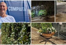 Diano Marina, vandalizzata la nuova siepe dell’Incompiuta. Sindaco Za Garibaldi: “La Riviera dei Fiori è di chi la ama, non di chi la deturpa” Siepe incompiuta