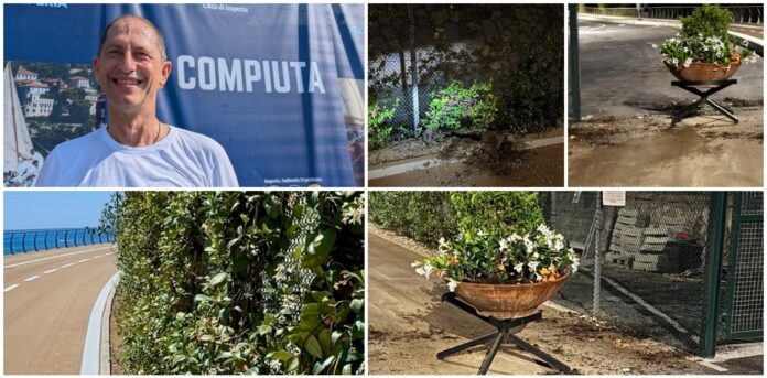 Siepe incompiuta Siepe incompiuta
