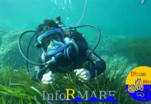 Alla scoperta dei fondali del Golfo dianese: torna “Diano Sottomarina”