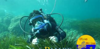 Alla scoperta dei fondali del Golfo dianese: torna “Diano Sottomarina”