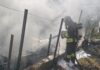 Auto in fiamme a Bussana, il rogo lambisce la vegetazione: intervento dei Vigili del Fuoco