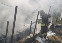 Auto in fiamme a Bussana, il rogo lambisce la vegetazione: intervento dei Vigili del Fuoco