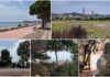 Verde urbano, Imperia resta indietro nel confronto nazionale. Cresce il patrimonio storico, ma il divario con la media italiana rimane