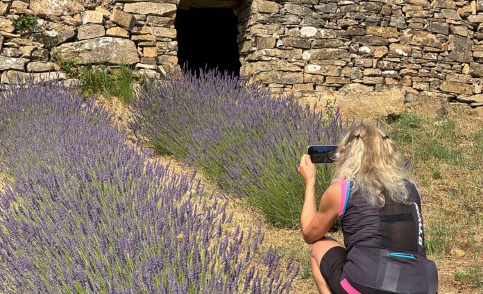 strade della lavanda