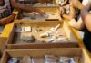 Piccoli archeologi crescono: grande partecipazione ieri a Sanremo al laboratorio “I detectives del passato”