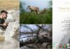 Fauna e flora delle Alpi Liguri si svelano nella mostra fotografica “Fuori sentiero” di Mattia Pizzolo mostra "Fuori sentiero" Mattia Pizzolo