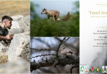 Fauna e flora delle Alpi Liguri si svelano nella mostra fotografica “Fuori sentiero” di Mattia Pizzolo mostra "Fuori sentiero" Mattia Pizzolo