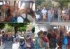 Grande successo per l’omaggio a Clarence Bicknell del MAR di Ventimiglia: escursione didattica col Treno delle Meraviglie a Tenda e al MusĂ©e des Merveilles