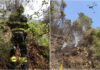 Sanremo, incendio di vegetazione a Pian della Castagna: sul posto Vigili del Fuoco, elicottero regionale e volontari AIB incendio Sanremo