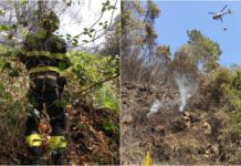 Sanremo, incendio di vegetazione a Pian della Castagna: sul posto Vigili del Fuoco, elicottero regionale e volontari AIB incendio Sanremo