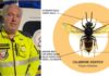 Imperia, prosegue la lotta alla Vespa Velutina. Centinaia gli interventi della Protezione civile protezione civile imperia - vespa velutina