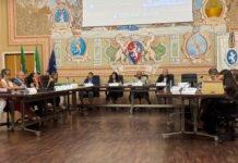 Consiglio comunale di Diano Marina: approvato il nuovo servizio di manutenzione del verde, Tari in aumento consiglio comunale diano marina