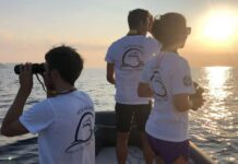 Imperia, il Comune affida ai Delfini del Ponente lo studio dell’ecosistema delle Ratteghe delfini del ponente