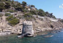 Imperia, il Cricolo Giovanile Borgo Prino propone un sabato in mare per bambini e ragazzi torre di prarola