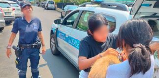 Diano Marina, cane disperso salvato dopo due giorni: era intrappolato in un condotto di scolo
