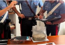 Documenti falsi e droga, i Carabinieri effettuano due arresti tra Bordighera e San Biagio della Cima
