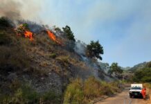 Incendi boschivi, conclusa la missione dei volontari AIB di Imperia e Savona in Calabria