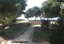 Cipressa accoglie I Trilli: musica e sapori questa sera alla Torre Gallinaro cipressa piazza torre gallinaro
