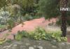 “Agosto nei Parchi” di Sanremo: yoga, danza e attività gratuite nei giardini cittadini Giardini Villa Ormond